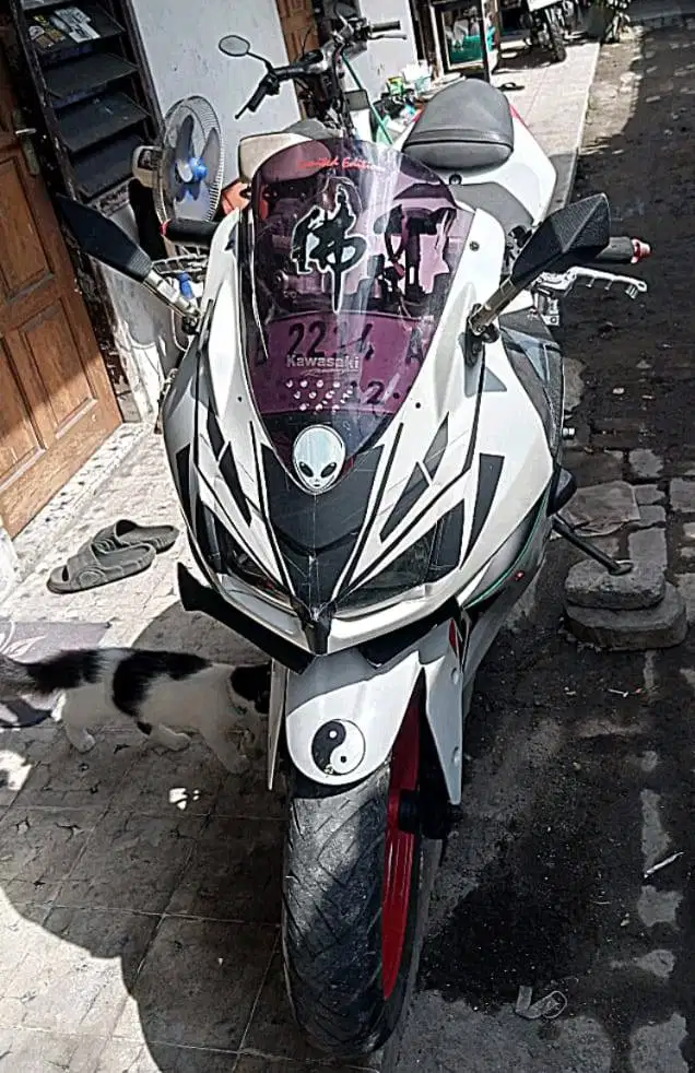 Ninja 250 karbu 2012