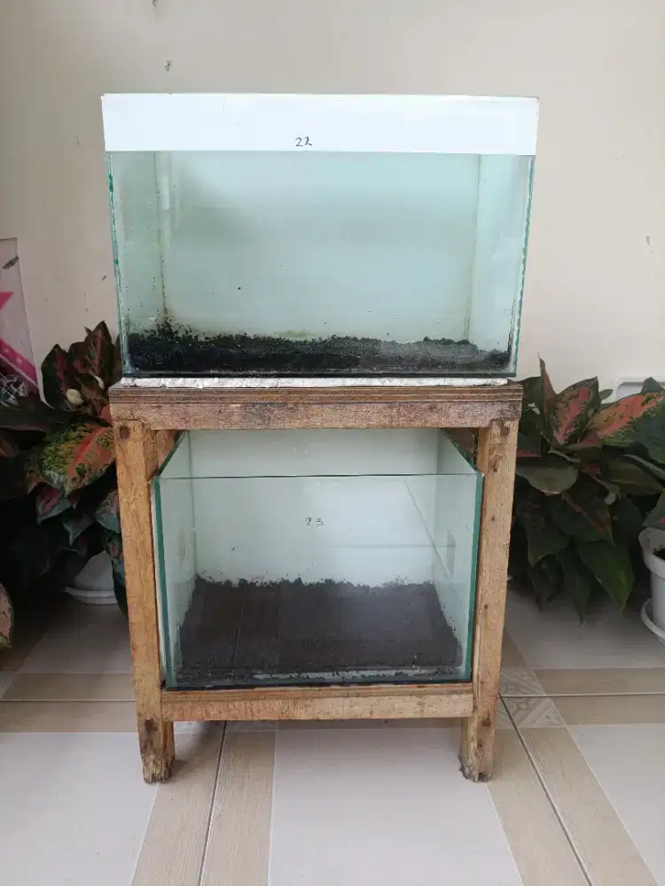 Akuarium Bekas Channa Dan Ikan Hias 2 Buah beserta Mejanya