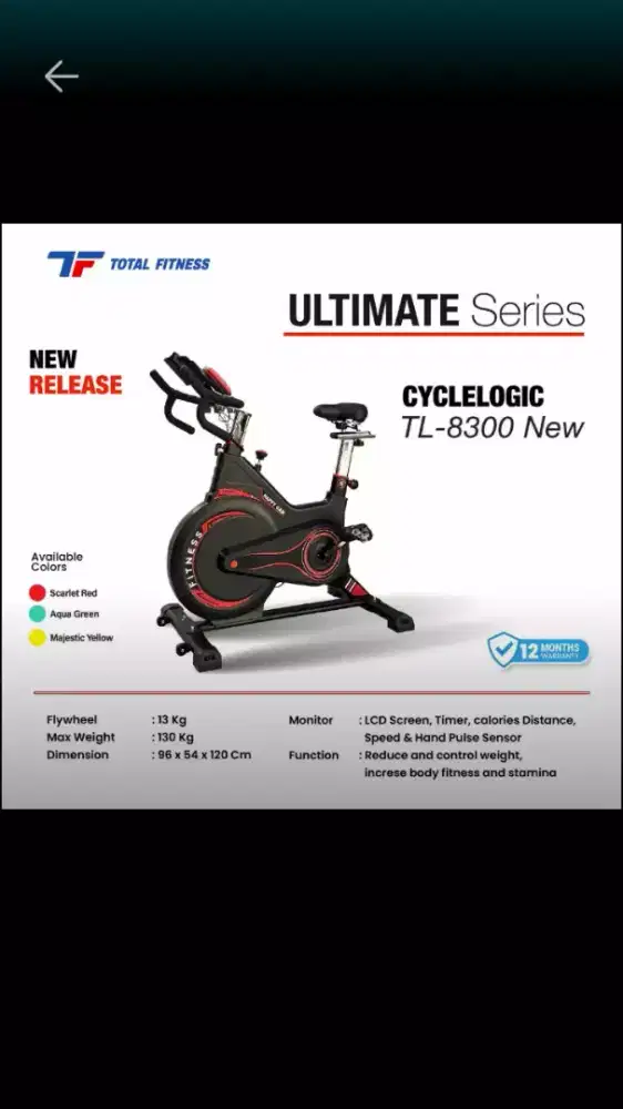 SEPEDA STATIS  BIG TF 8300