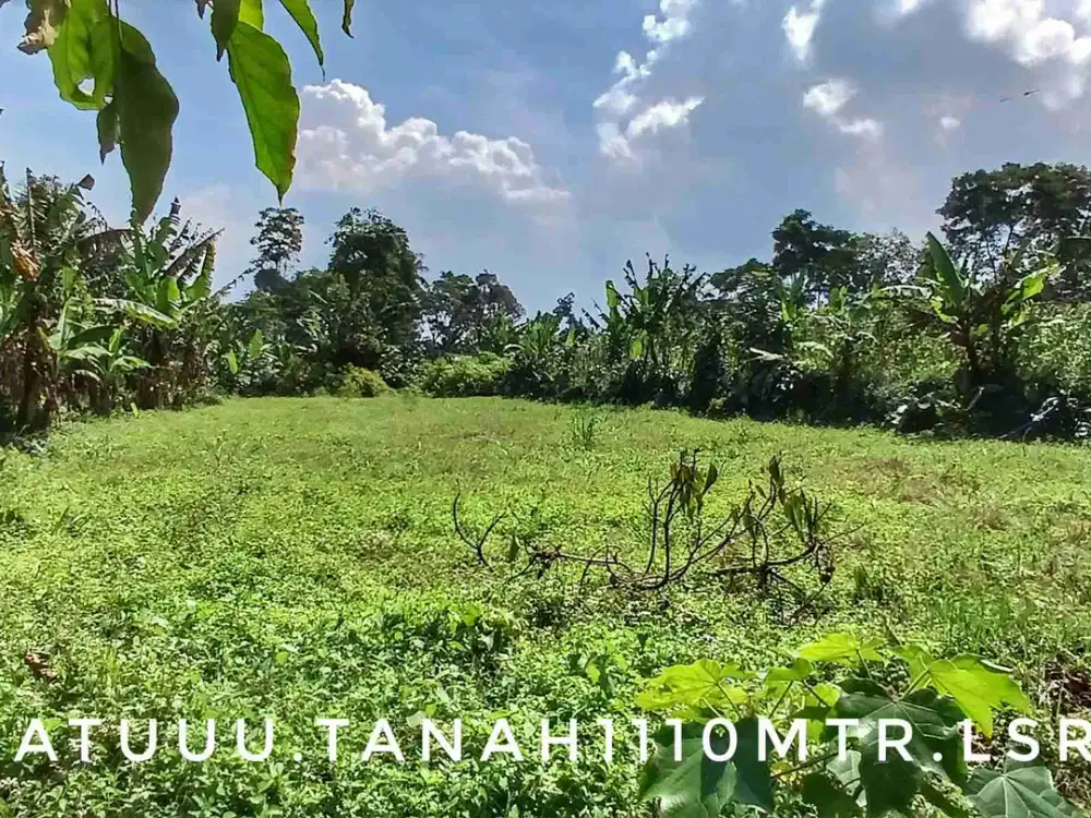 Dijual sebidang tanah luas subur pinggir jalan view keren hijau asri