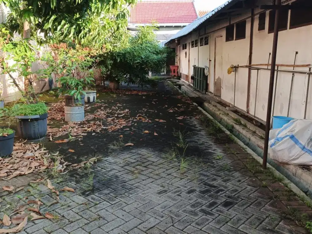 Langka Jarang Ada Tanah Dijual Lokasi Strategis Pantai Mentari