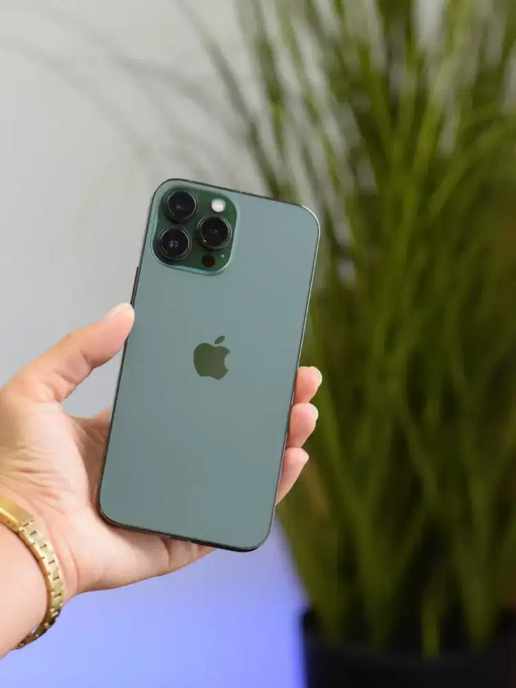 iPhone 13 Pro Max 128Gb Green All Operator/Bebas Kartu