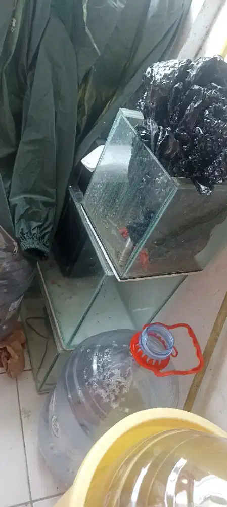 aqurium ukuran 20, 30, 40