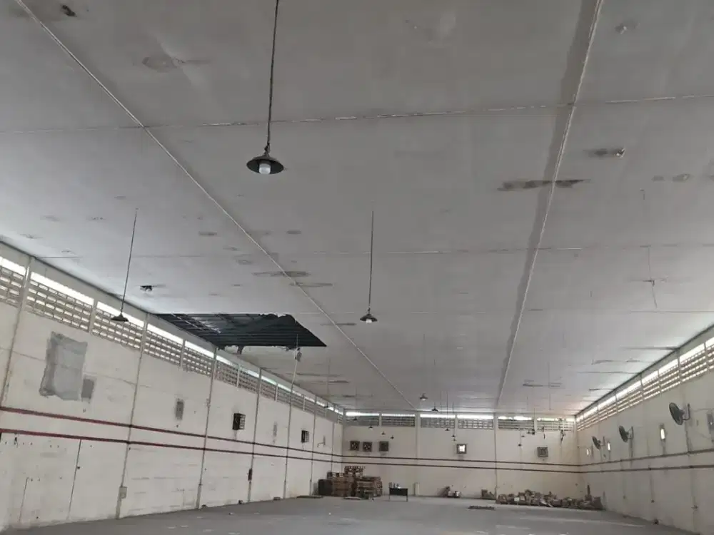 Disewakan Gudang + Tempat Usaha Siap Pakai di Petukangan Raya Cileduk JakSel