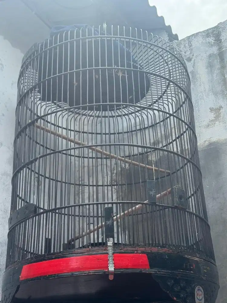 Kandang murai no 1 merek rafi jaya