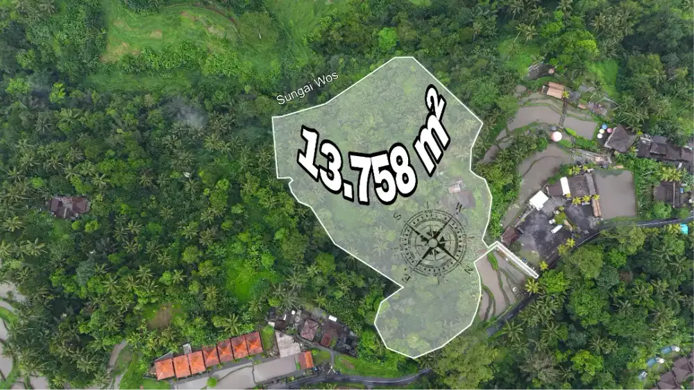 Beautiful Calm Place Rice Field Jungle View Los River Tegalalang Ubud