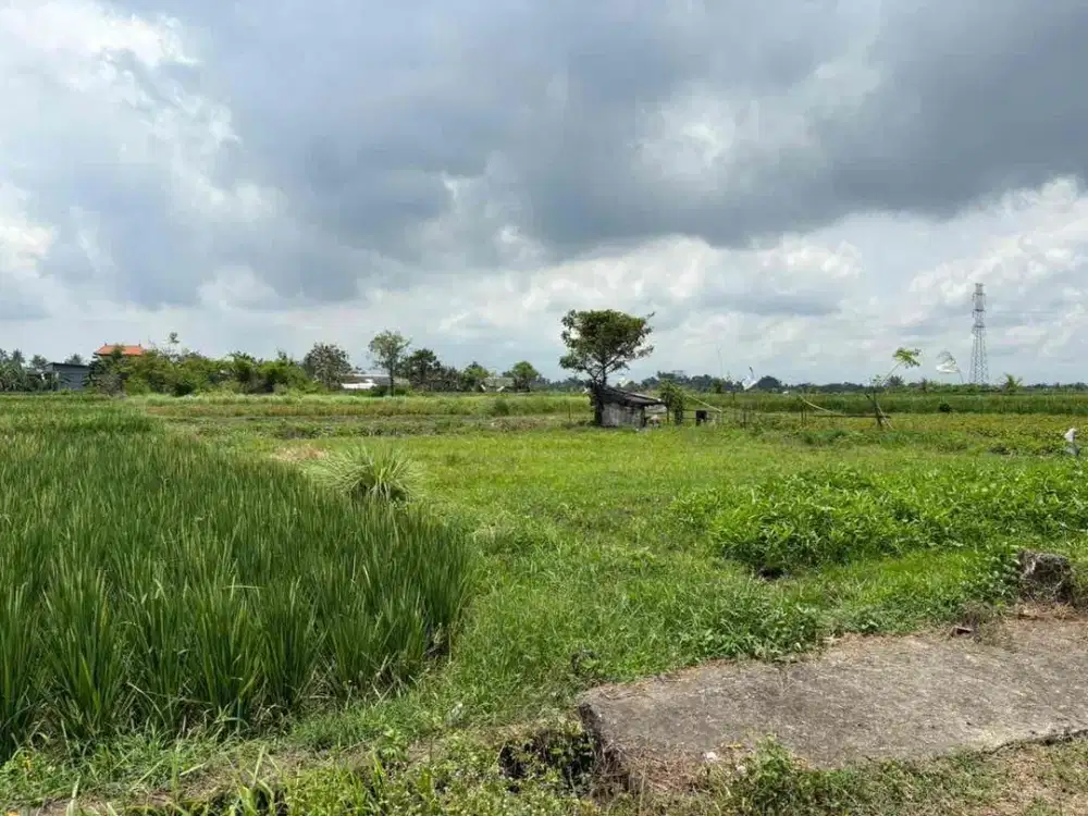 Tanah di Mengwi Badung