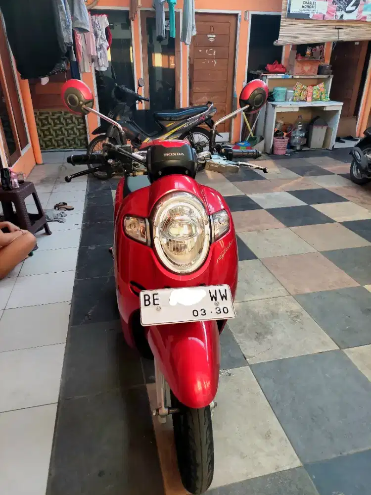 Scoopy 2020 staylish