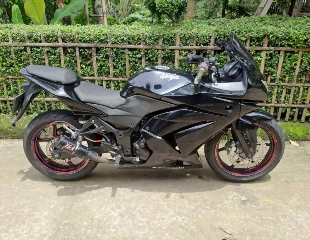 Kawasaki Ninja 250 CBU Karbu