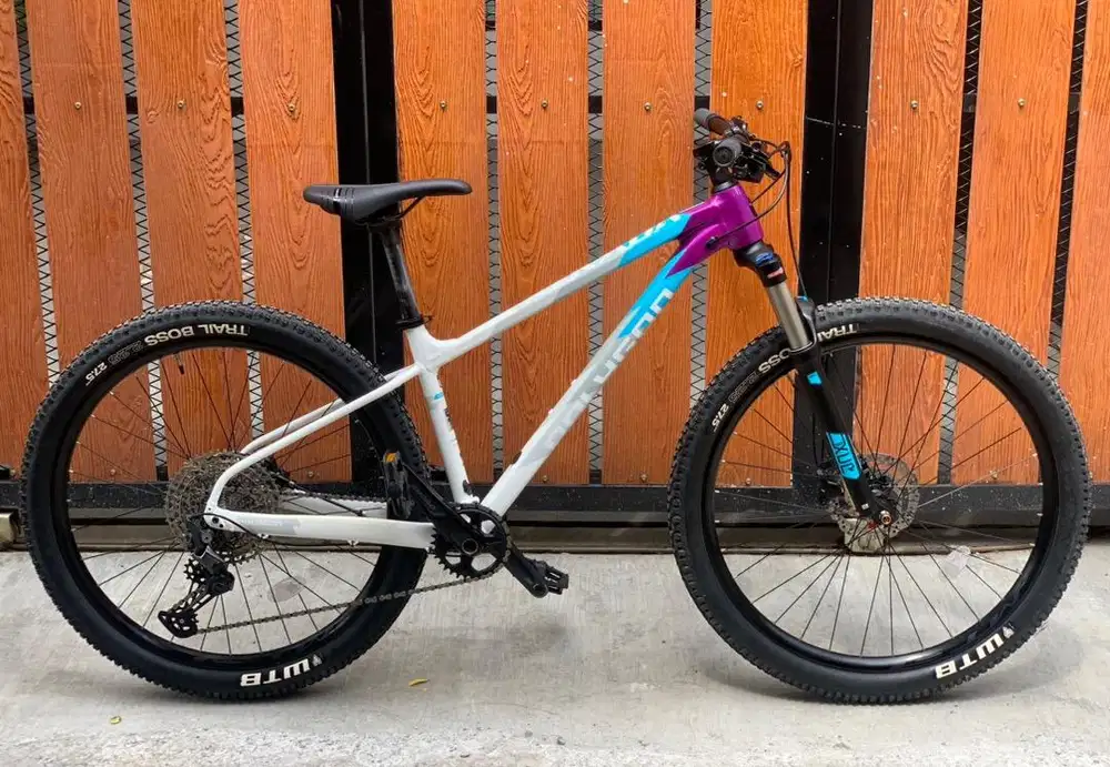 Polygon Xtrada 7 2024