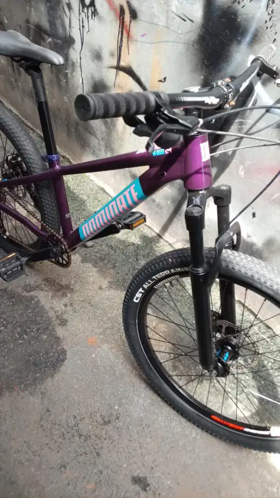 United dominate a-one 24 inch