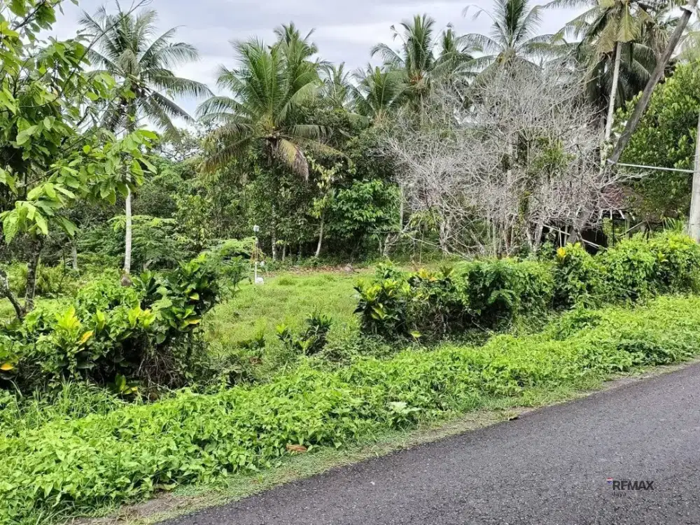 Tanah 57,3 Are Lokasi Pariwisata Dijual, di Selemadeg, Tabanan Area