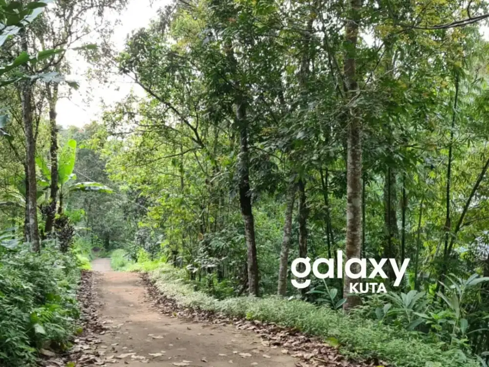 TANAH DI MUNDUK SINGARAJA BULELENG, BALI