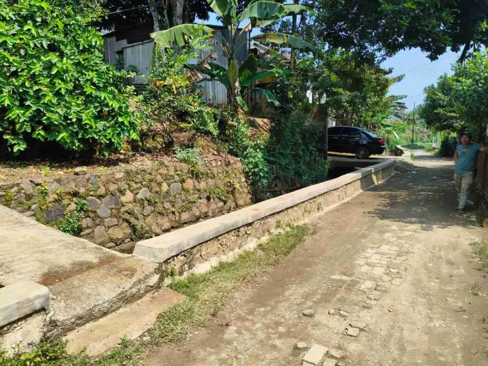 Dijual Tanah Strategis Dekat Kampus IPB Dramaga Bogor SHM