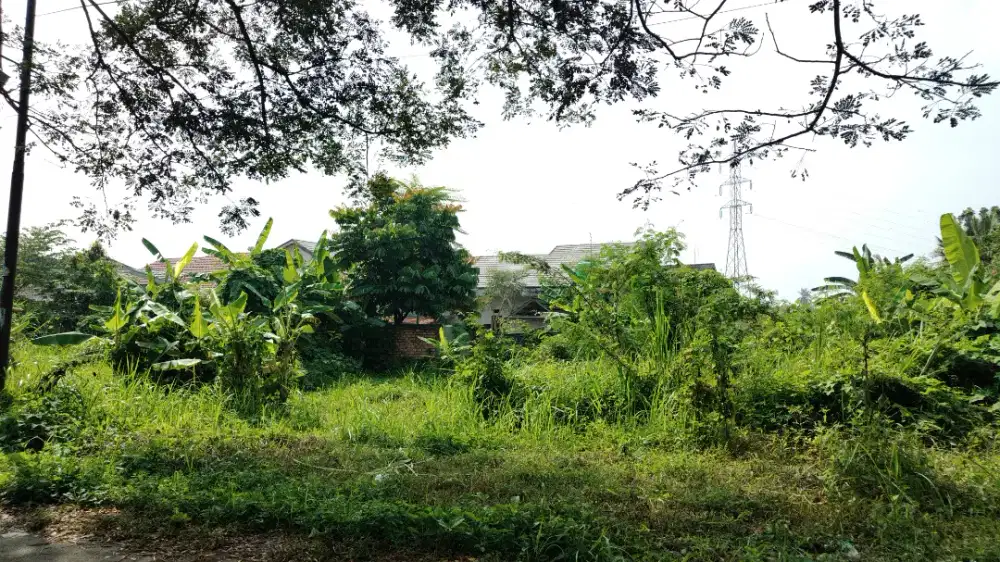 DIJUAL CEPAT TANAH 1250 M2