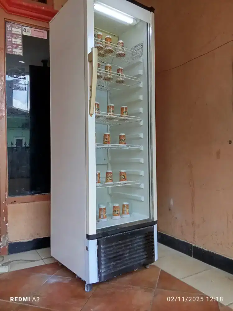 Showcase polytron jumbo mulus