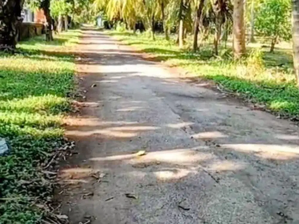 Tanah 125 Are View Pantai Dijual, di Buleleng, Singaraja Area