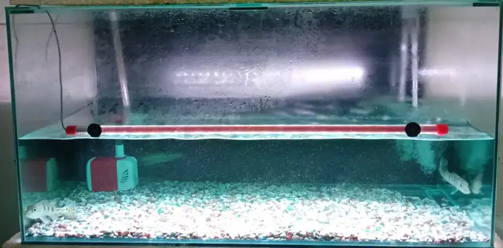 Aquarium Ikan Ukuran 100 X 50 X 50