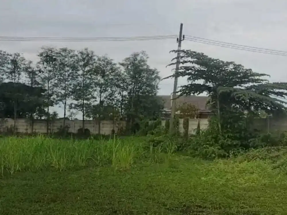 ‼️ Tanah Murah Cerme Siap Bangun‼️