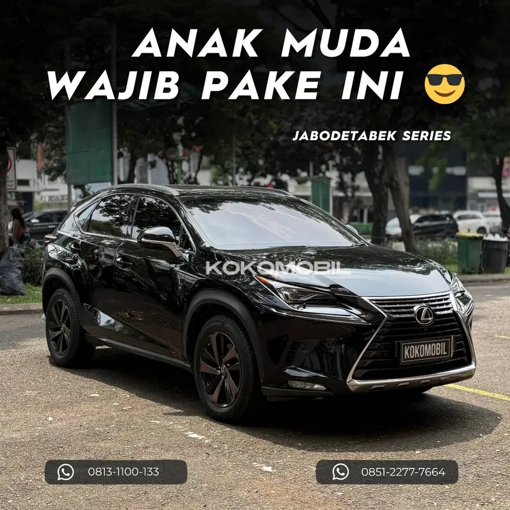 LEXUS NX300 LUXURY 2017