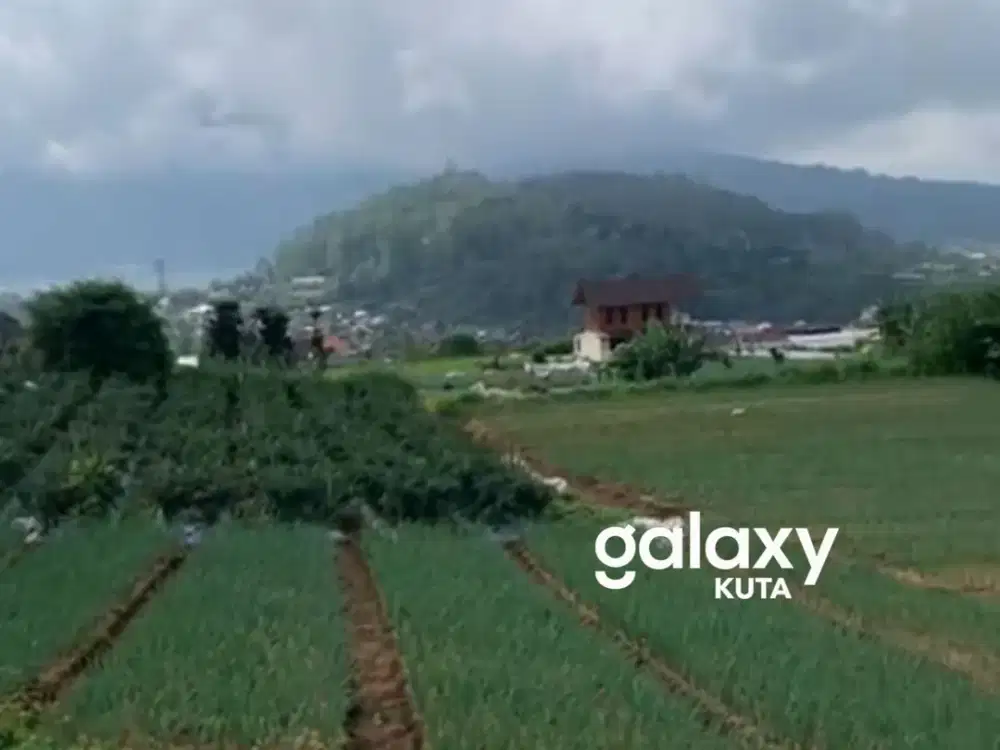DIJUAL TANAH DI CANDIKUNING BATURITI BEDUGUL TABANAN, BALI