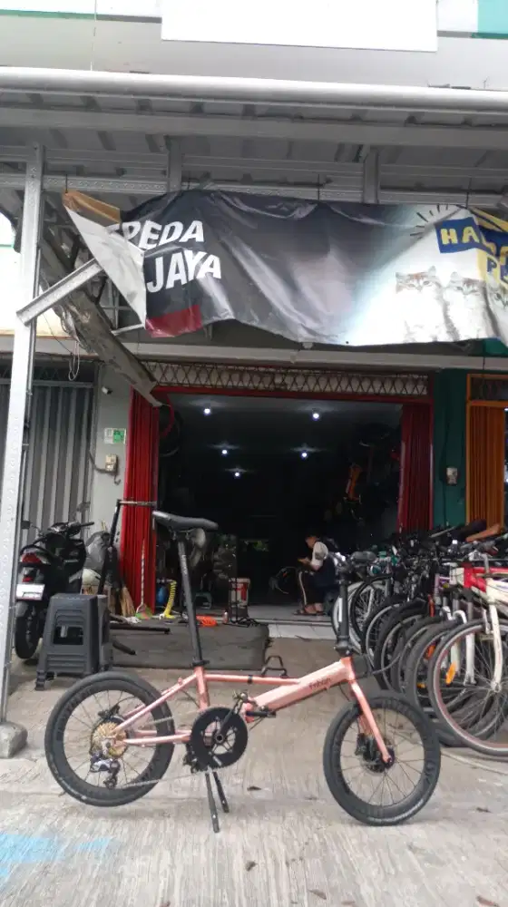 Sepeda Lipat Fnhon Moonson Rosegold 20 406