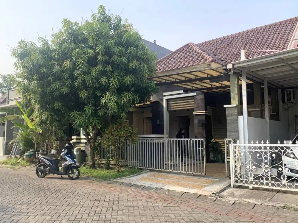 RUMAH MINIMALIS 1Man DI PURIMAS