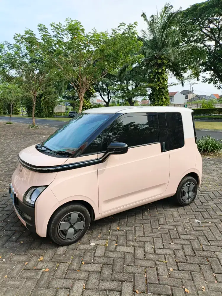 Air EV Lite 200km 2024 , free maintenance sampai 2031