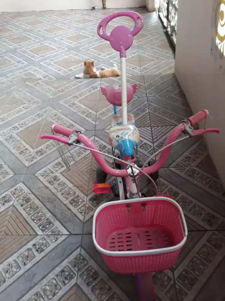 Sepeda anak perempuan second