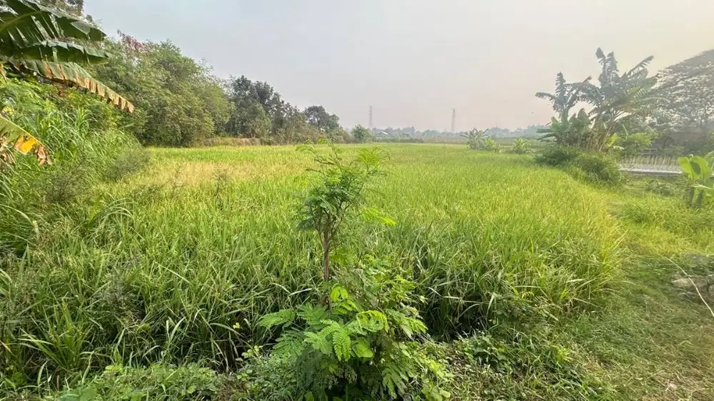 DI JUAL CEPAT TANAH/SAWAH BISA NEGO