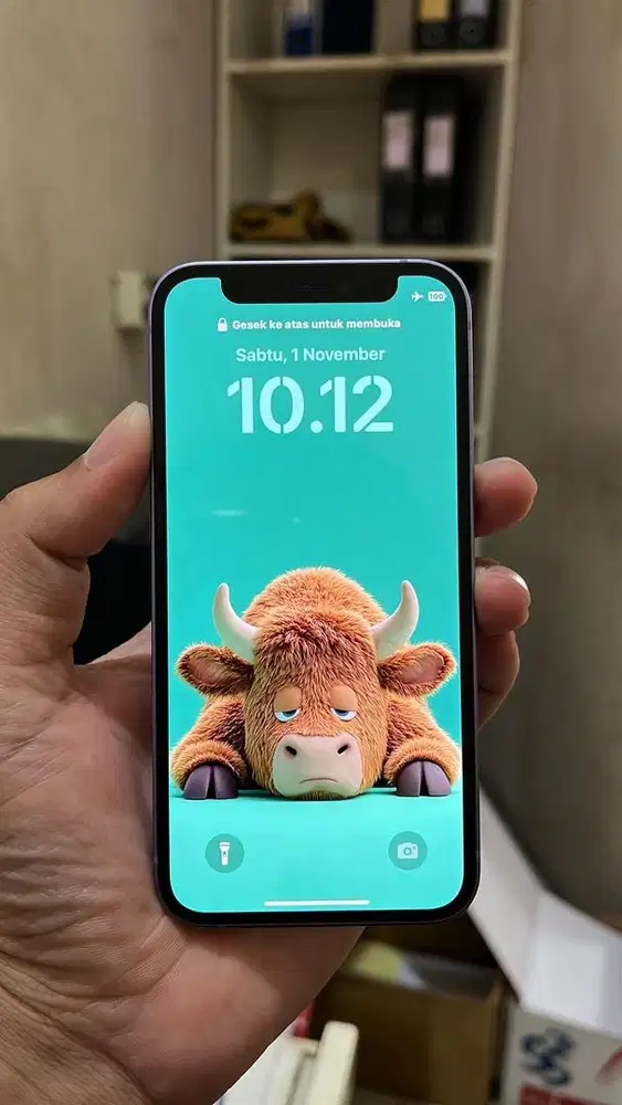 Iphone 12 Mini 64Gb ex Inter