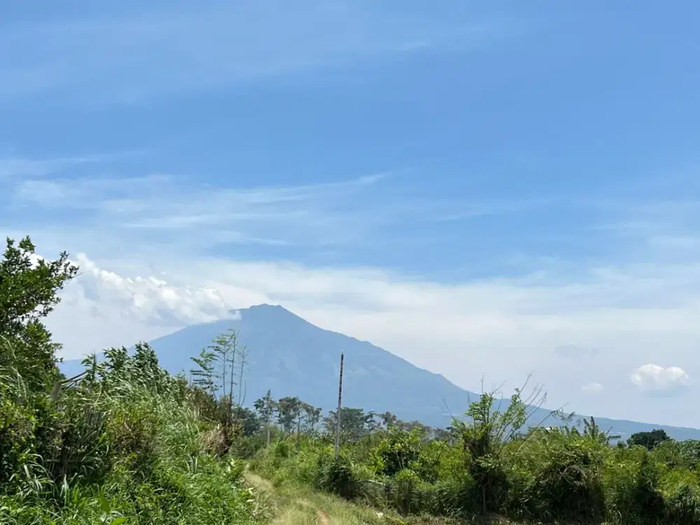 Tanah Kavling Potensi Kost, 7 Menit Kampus Unmuh Muhammadiyah Malang