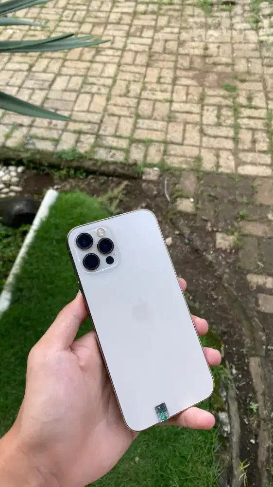 Iphone 12 pro 512Gb inter