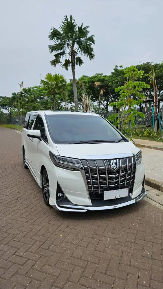 Alphard G 2019 Modellista Bodykit kondisi mewah