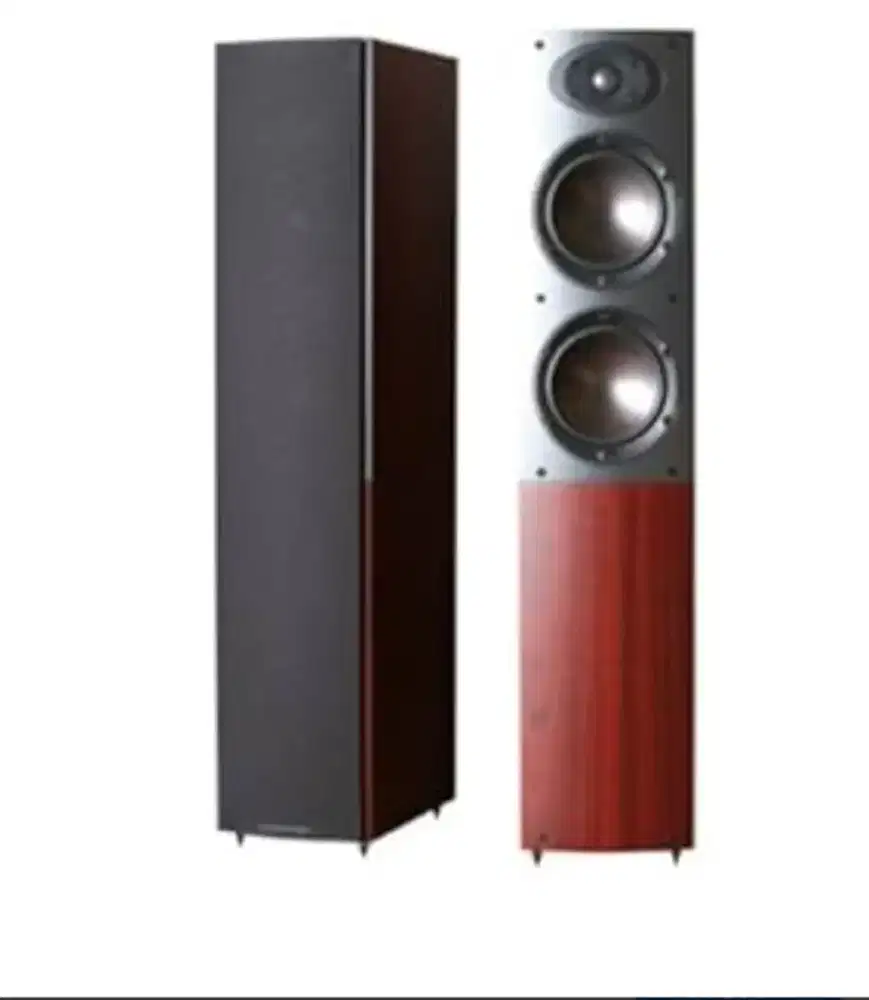 MORDAUNT-SHORT AVIONO 6