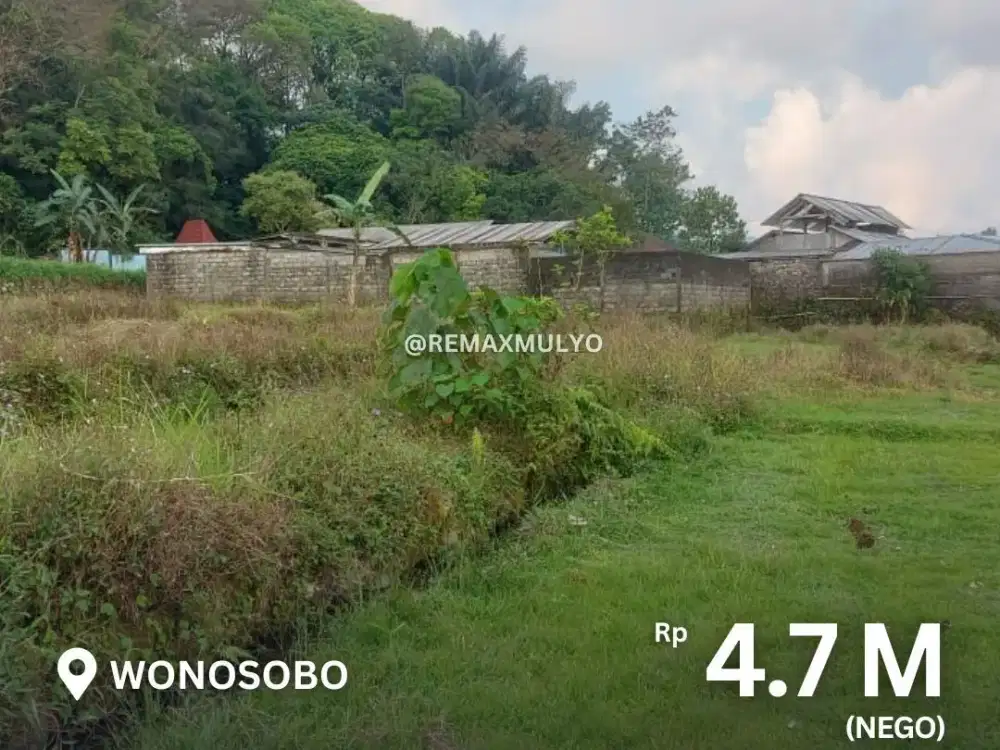 Dijual Tanah Seluas 2.600 m2 di Wonosobo Cocok untuk Villa/ Tempat Hunian dengan View Cantik