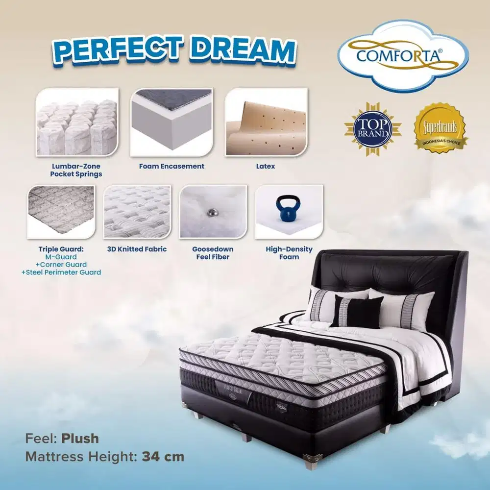 READY COMFORTA TYPE PERFECT DREAM