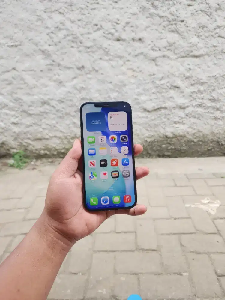 Iphone 12 pm 256 ibox batang