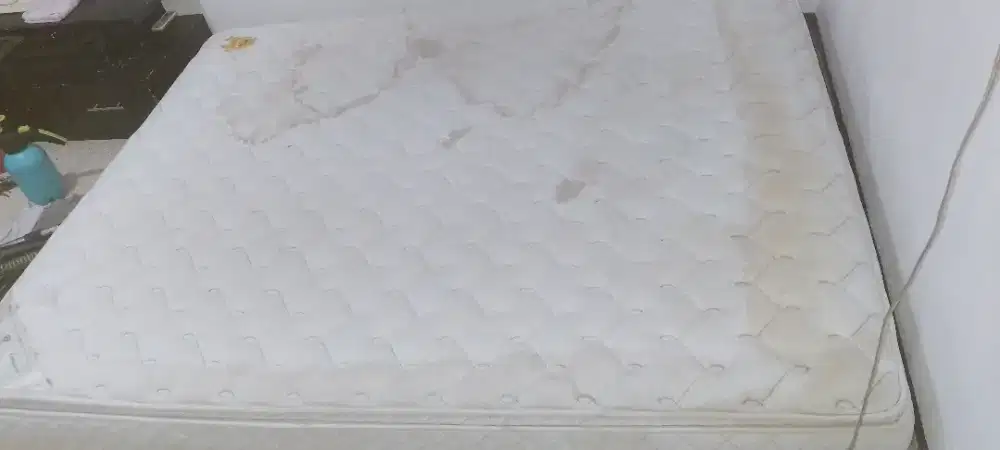 Hydrovakum sedot tunggu dan hydro cuci kasur sofa dan karpet