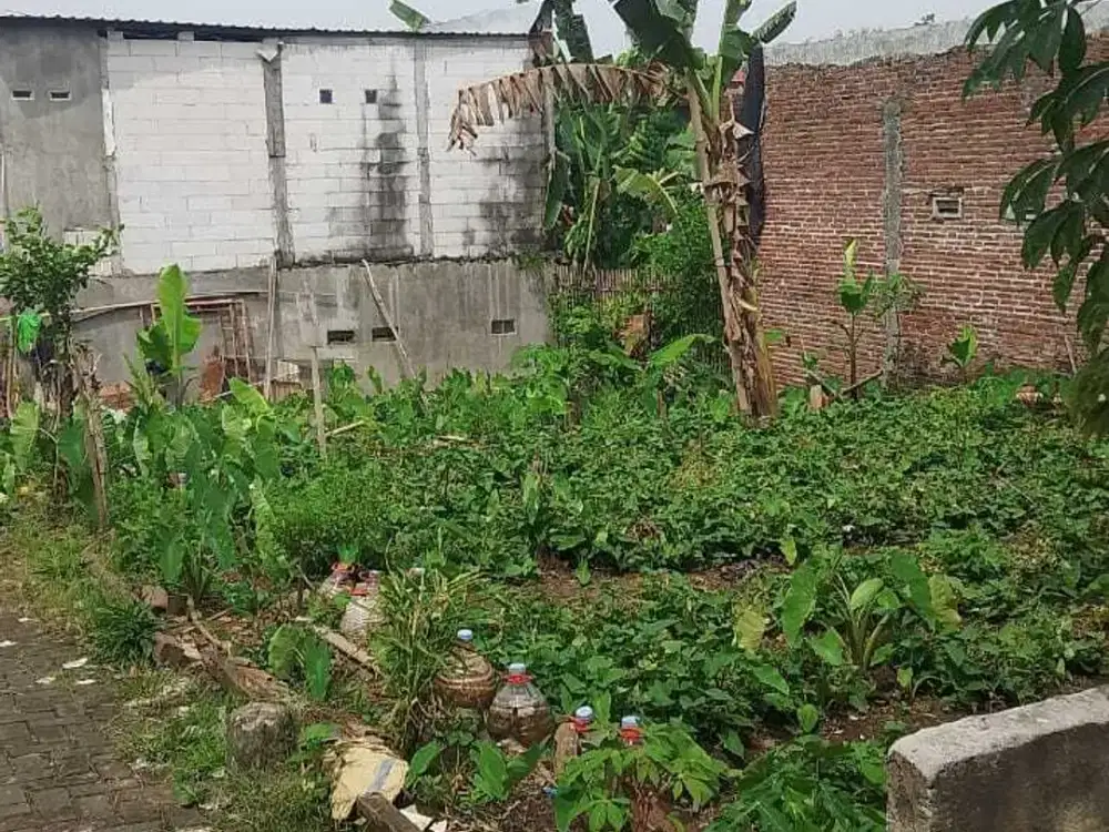 Tanah hunian puntodewo tumpang malang