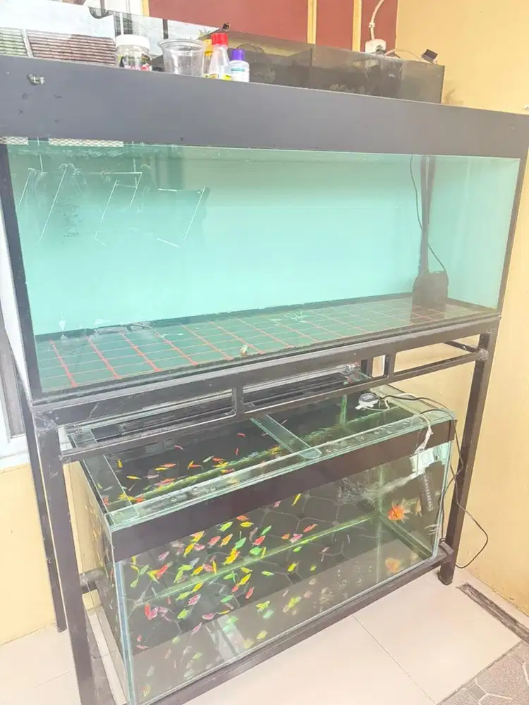 Aquarium 1 set ukuran 120 cm