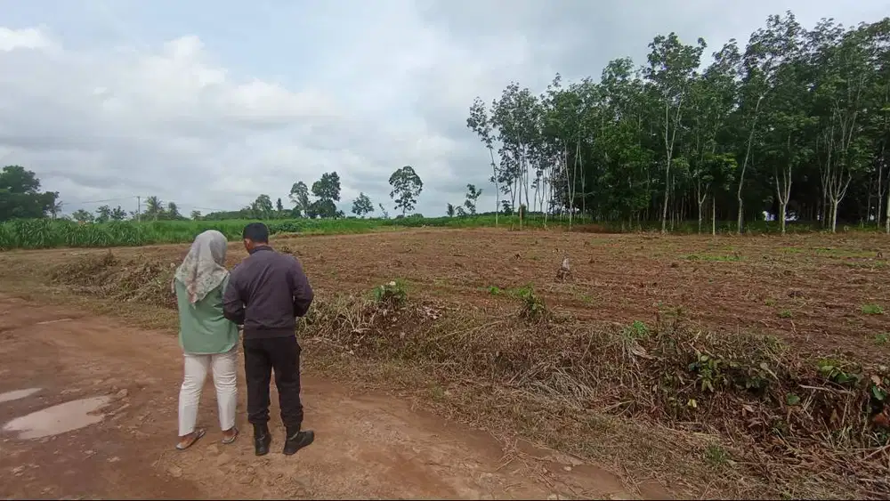 KAVLING RUKO DAN RUMAH DEKAT JALUR 2 ITERA COCOK UNTUK BANGUN RUKO