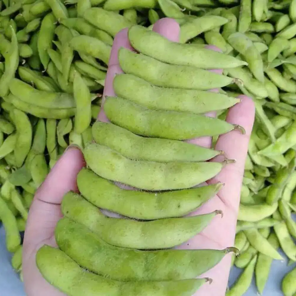 Edamame Grade A