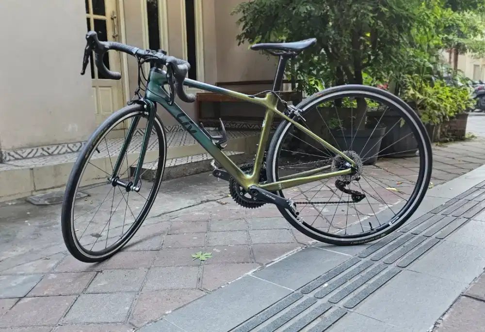 Sepeda balap Roadbike giant liv langma advance 2