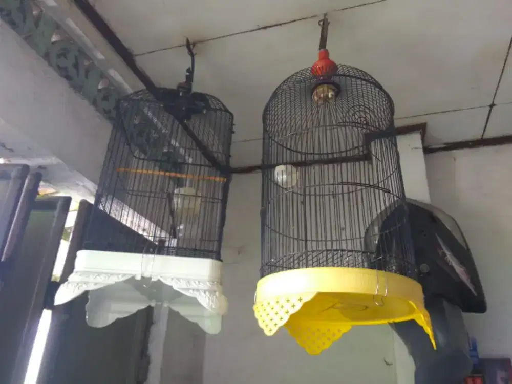 Kandang kotak sama bulet besi