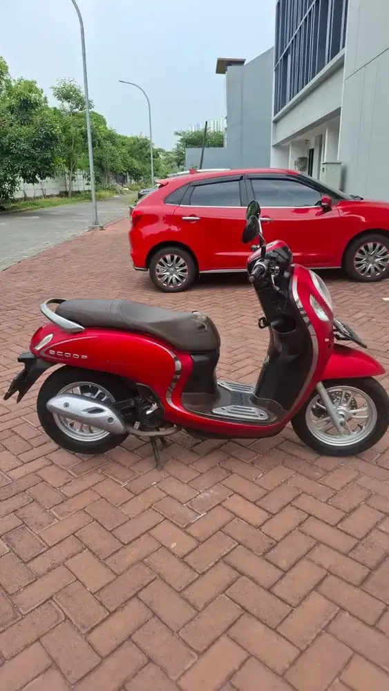 Scoopy Stylish 2021