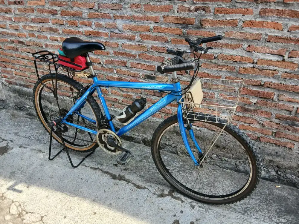 Sepeda wimcycle commuter