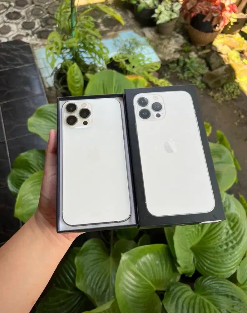 Iphone 13 promax 256 gb ibox silver murah
