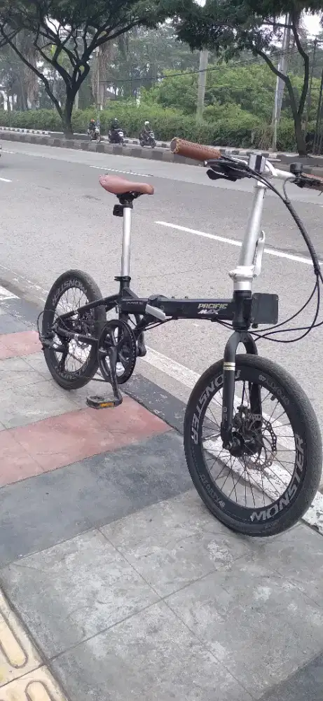 Pacific splendid 300