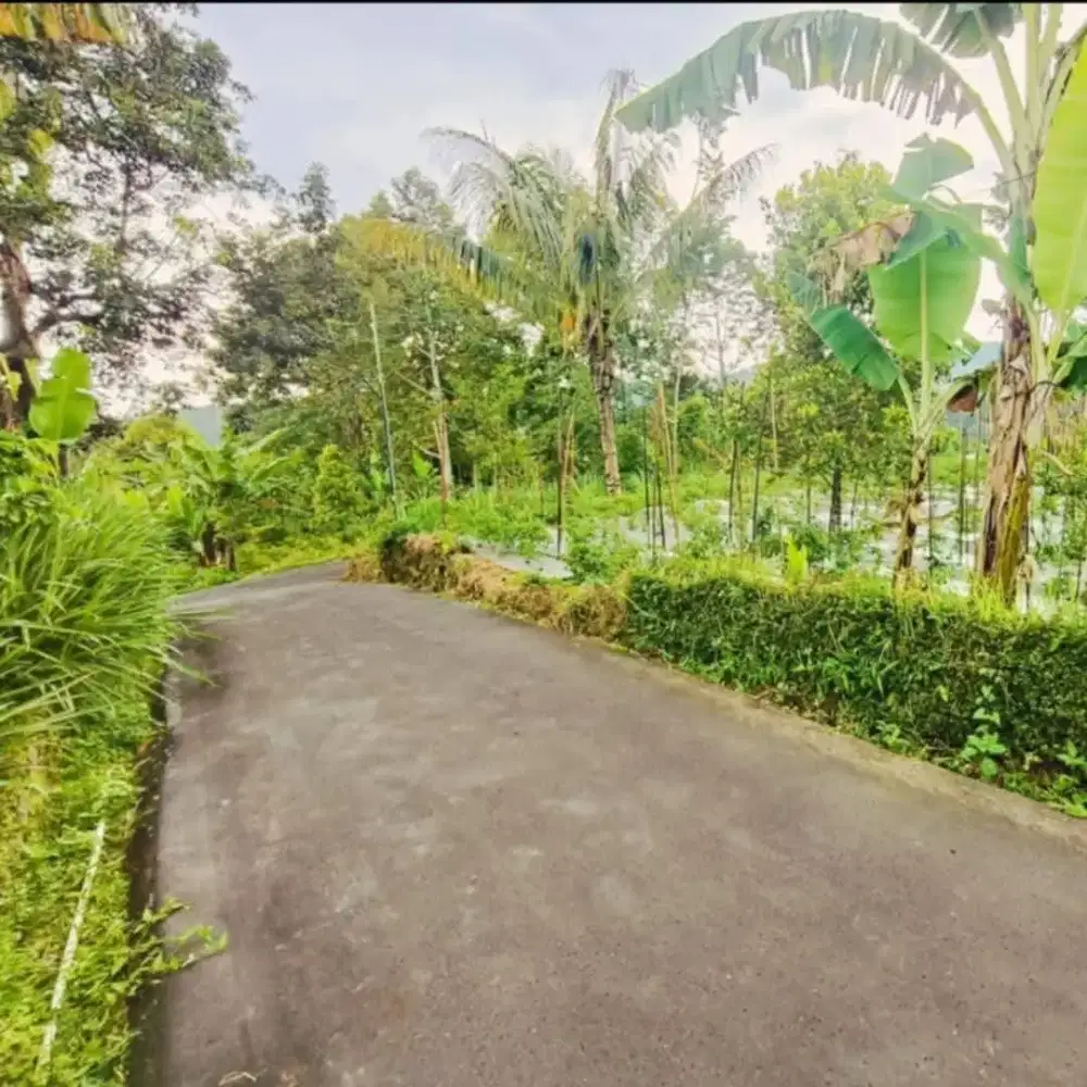 Tanah murah ngargoyoso kemuning